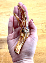 Load image into Gallery viewer, "QUACK PACK" - Fresh Duck Heads and Duck Feet Locally Smoked and Dehydrated in Texas!