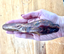 Load image into Gallery viewer, "QUACK PACK" - Fresh Duck Heads and Duck Feet Locally Smoked and Dehydrated in Texas!