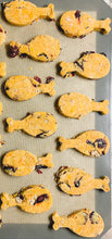 Load image into Gallery viewer, PAW-SOME VIP Fresh Baked Dog Cookie Monthly Box